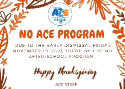 No ACE Program